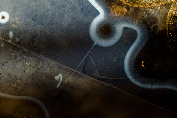 love would breakharrison higgspigment printfurl