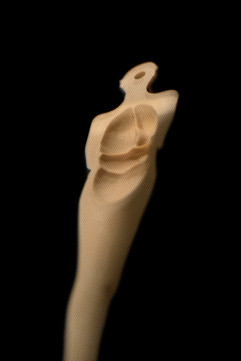 harrison higgs in which the (h)and ... inkjet print place gallery 