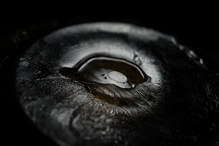 harrison higgs oceanograph  inkjet print art digital pictures the best art gallery in portland 