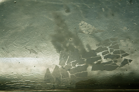 harrison higgs dogger bank  inkjet print art the best art gallery in portland digital pictures 