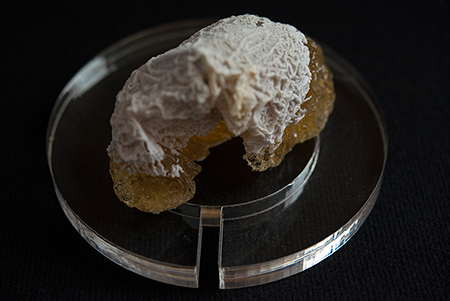 Lil Steelorganic resinsculpture