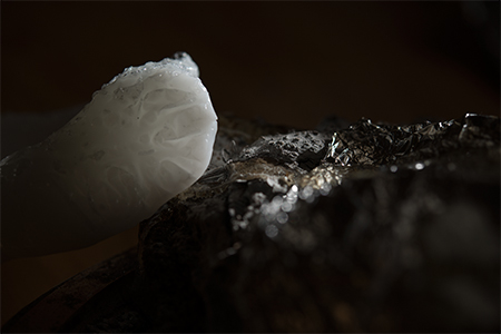 harrison higgs oceanograph  inkjet print art the best art gallery in portland  digital pictures 