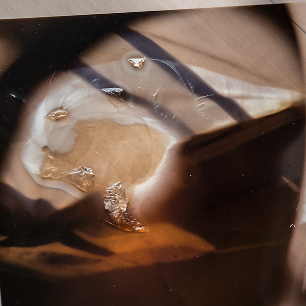 study for filmwork mixed media harrison higgs